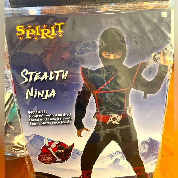 Halloween Costume - Stealth Ninja - Picture 1 of 4